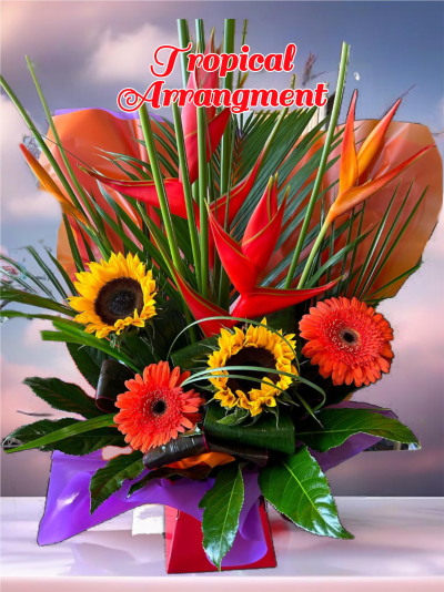 Tropical Arrangement - Behold a breathtaking display of tropical artistry! This stunning and exotic floral arrangement showcases the vibrant beauty of Costa Rica, featuring a sumptuous mix of Ginger flowers, Heliconia, Cordyline, Musa Coccinea, Rhapis, and Monstera Leaves. Each element is expertly arranged to create a truly captivating and unforgettable presentation. This best-selling arrangement is a guaranteed showstopper, so please allow 3 working days for us to craft this masterpiece just for you.