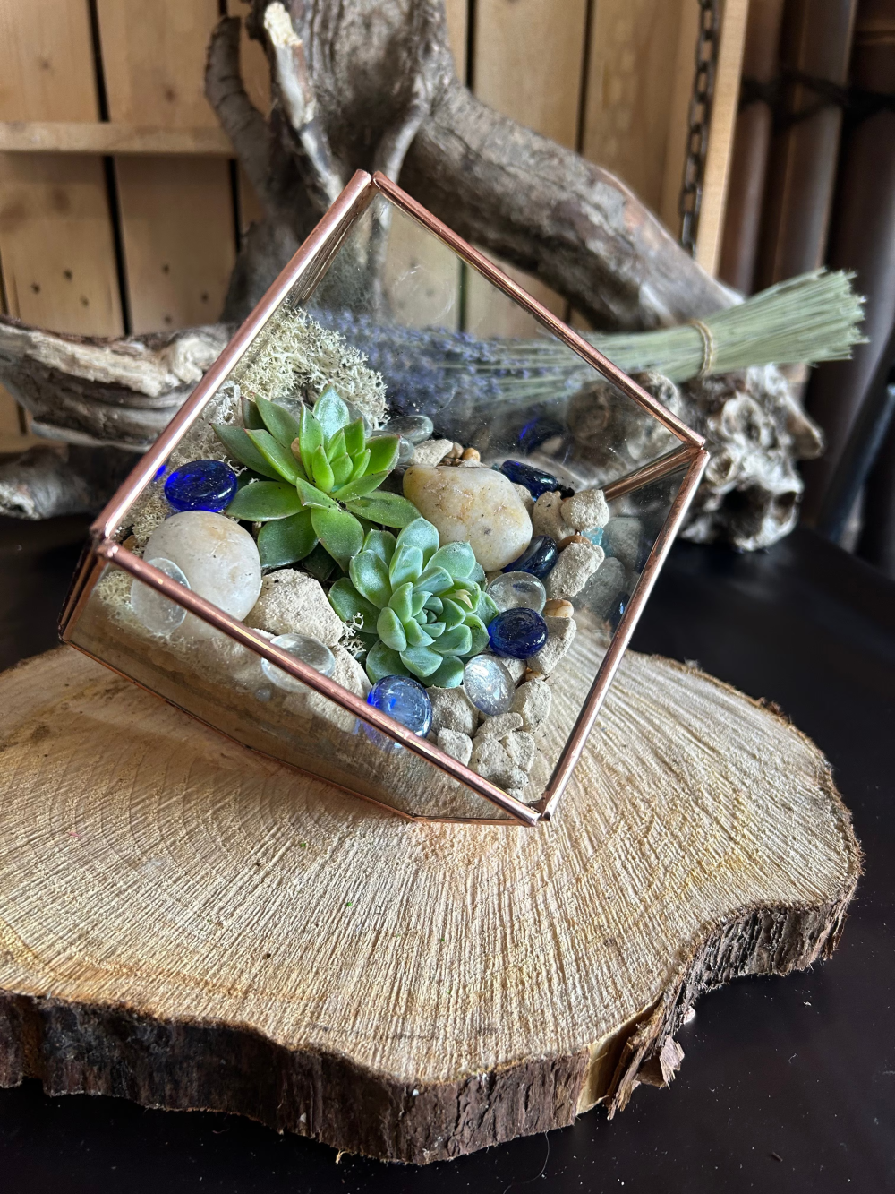 Rose Gold Edge Square Glass Tilted Cube Terrarium