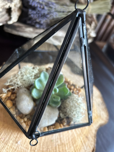 Black Edge Geometric Triangle Terrarium - Black Edge Geometric Triangle Terrarium
