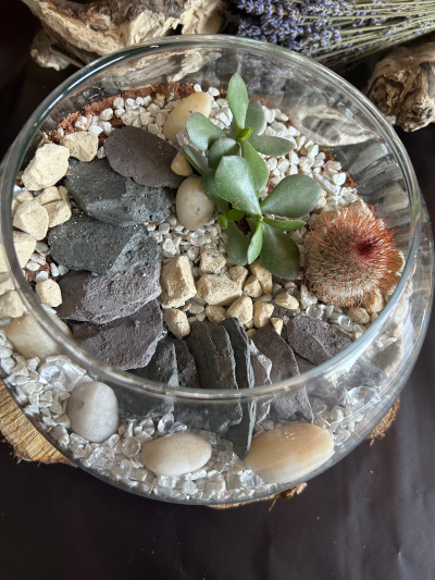 Fishbowl Glass Terrarium with Cacti - fishbowl glass terrarium with cacti and grey slate stone steps