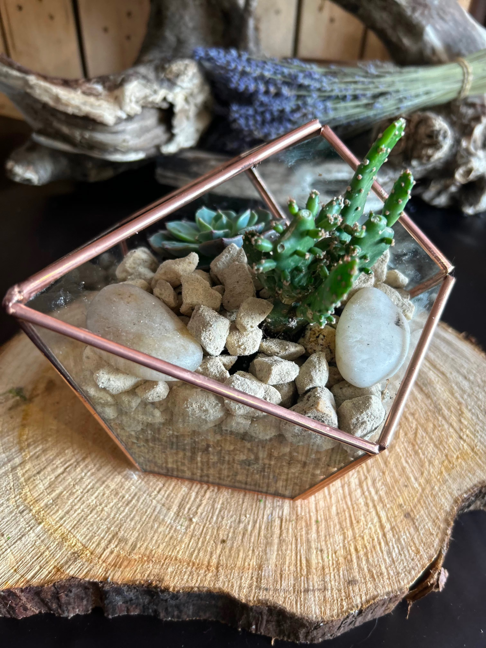 Rose Gold Geometric Triangle Shaped Terrarium