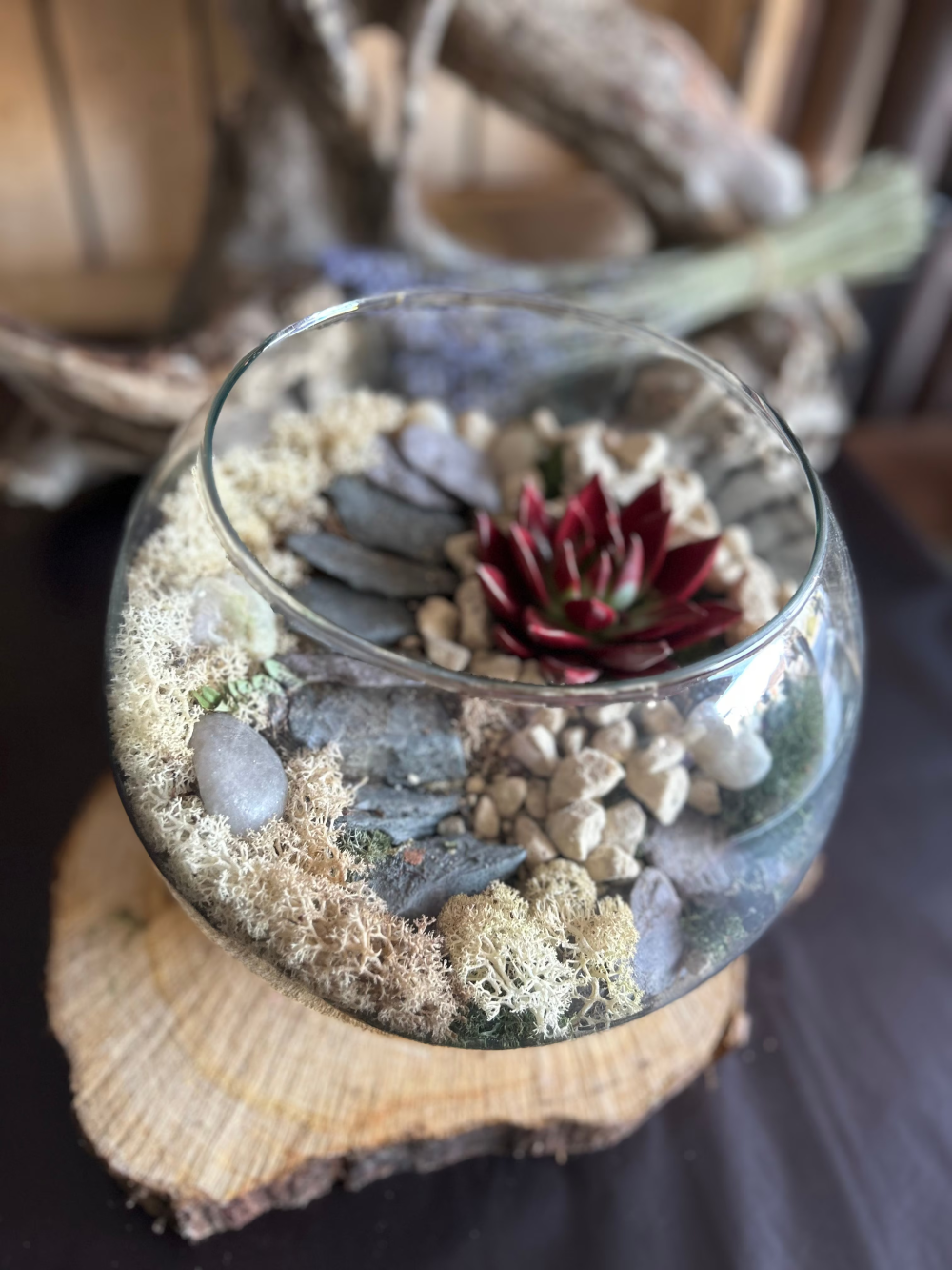 Fish Bowl Terrariums Succulent with Stone Steps