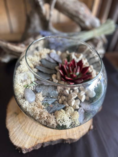 Fish Bowl Terrariums Succulent with Stone Steps - glass fishbowl terrarium with succulent plant, moss and stone curved steps